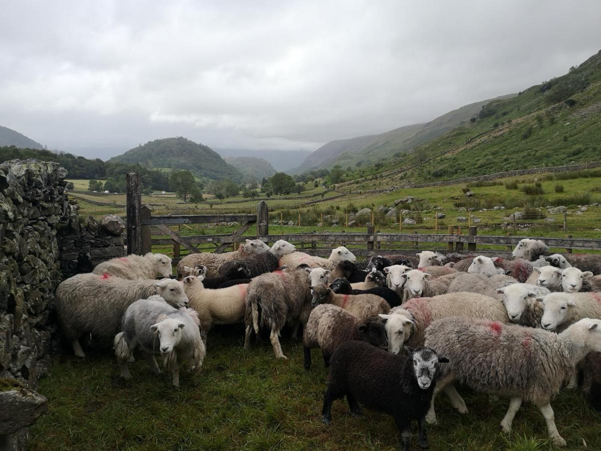 Willa Stybeck Farm Thirlmere Zewnętrze zdjęcie