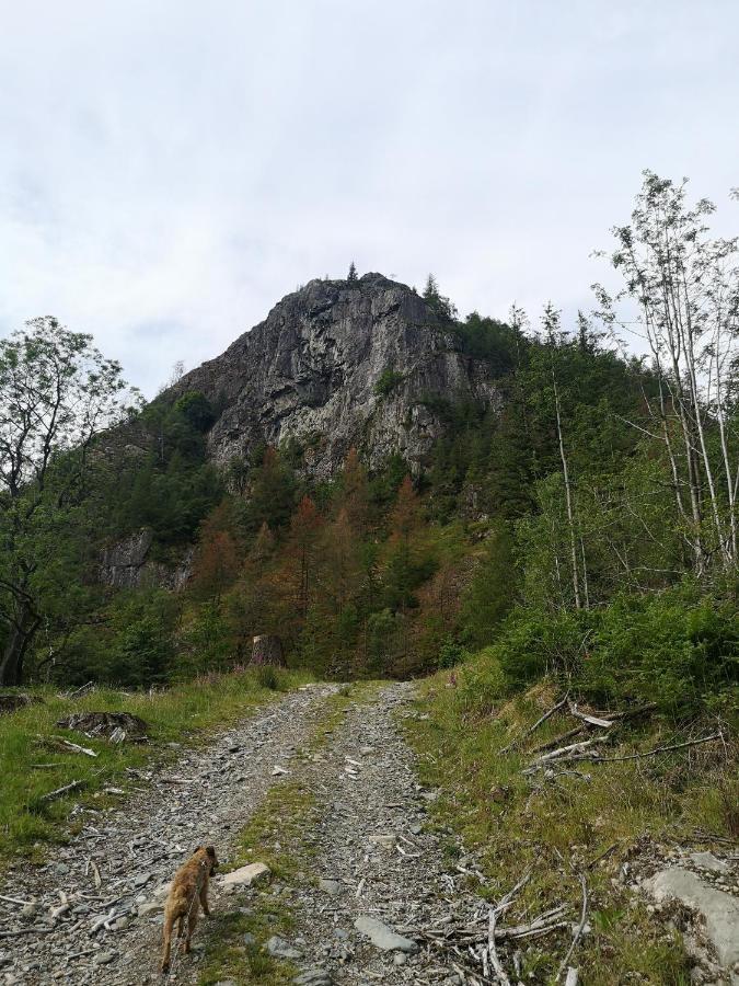 Willa Stybeck Farm Thirlmere Zewnętrze zdjęcie