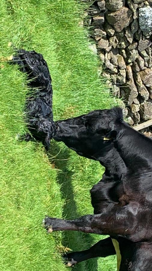 Willa Stybeck Farm Thirlmere Zewnętrze zdjęcie