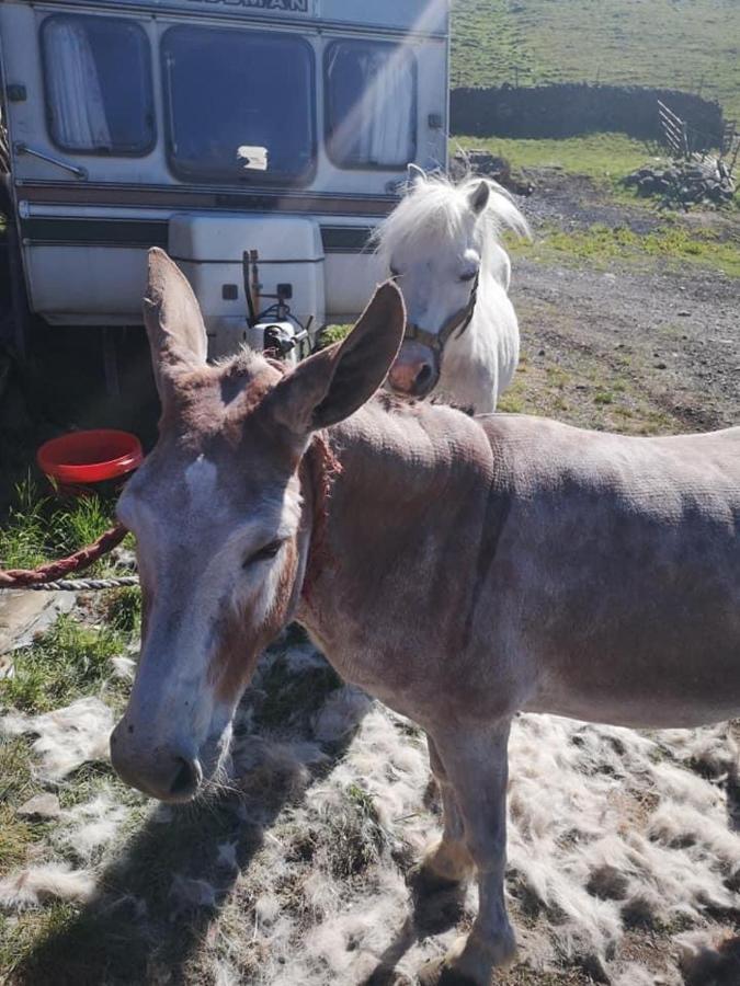 Willa Stybeck Farm Thirlmere Zewnętrze zdjęcie