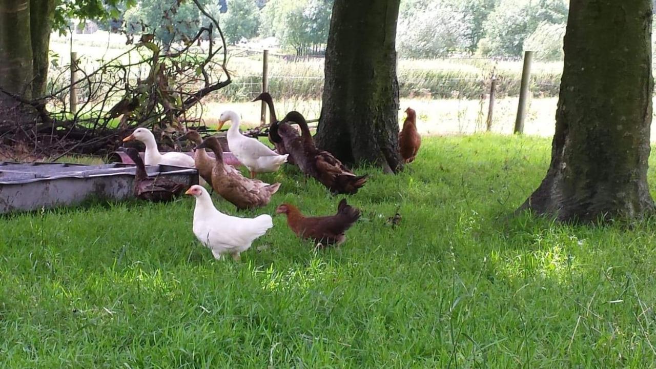 Willa Stybeck Farm Thirlmere Zewnętrze zdjęcie