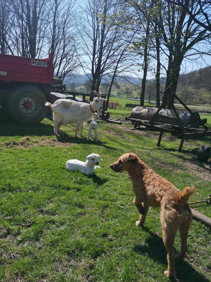 Willa Stybeck Farm Thirlmere Zewnętrze zdjęcie